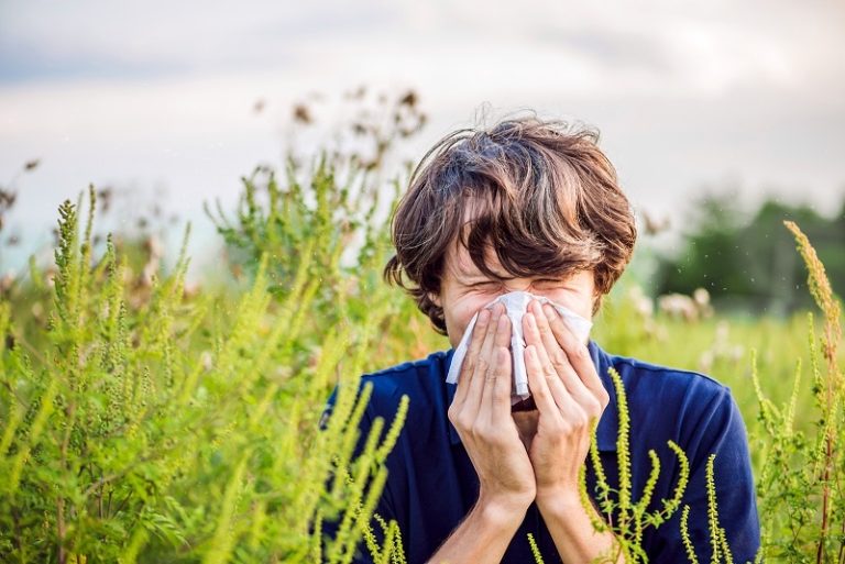 Alergias piorando? Cientistas dizem que as mudanças climáticas estão tornando as estações de pólen mais longas e intensas