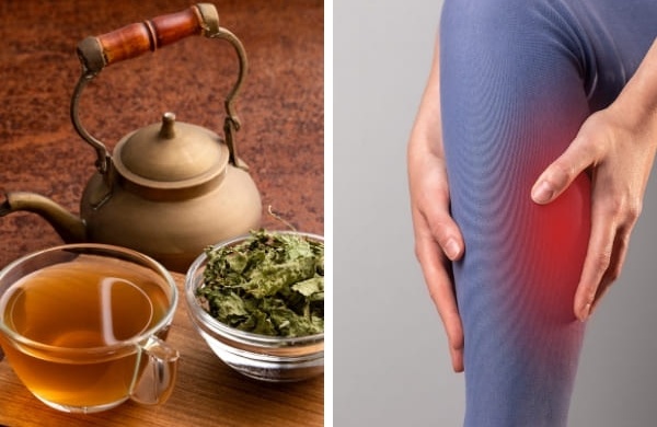 9 plantes peu connues contre le syndrome des jambes sans repos, prouvées scientifiquement